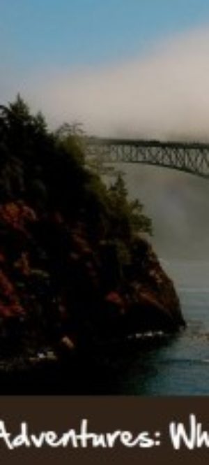 Whidbey-Island-Road-Trip-300x234