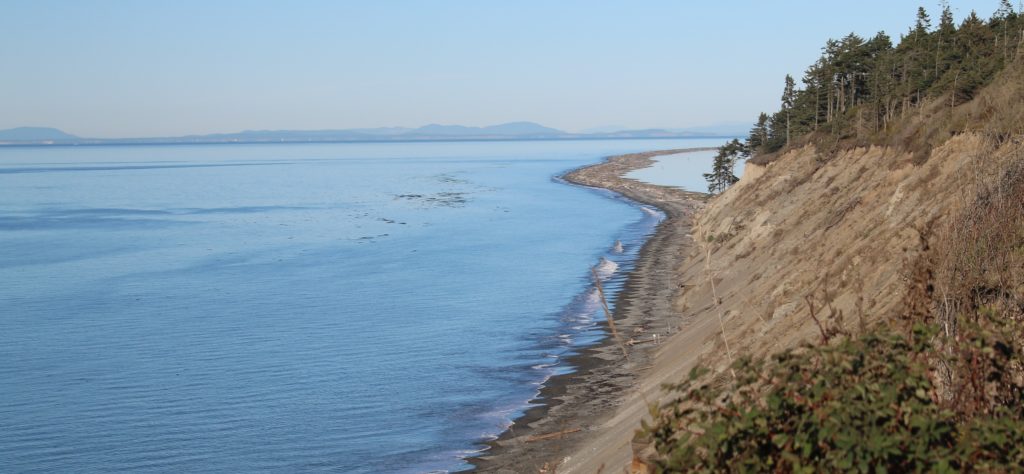 view of the Dungeness Spit from down the bluff