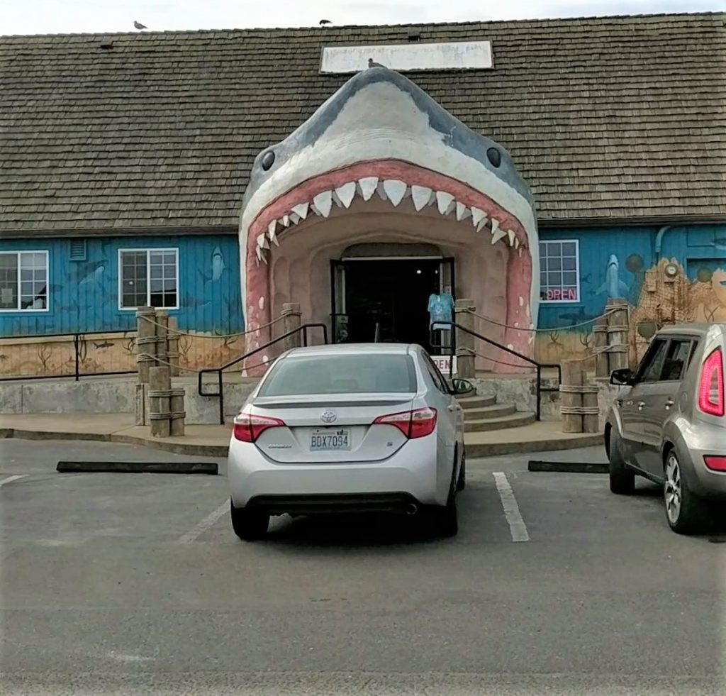 Ocean Shores Shark 10 Toes Travel