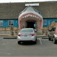 Great White shark head storefront in Ocean Shores