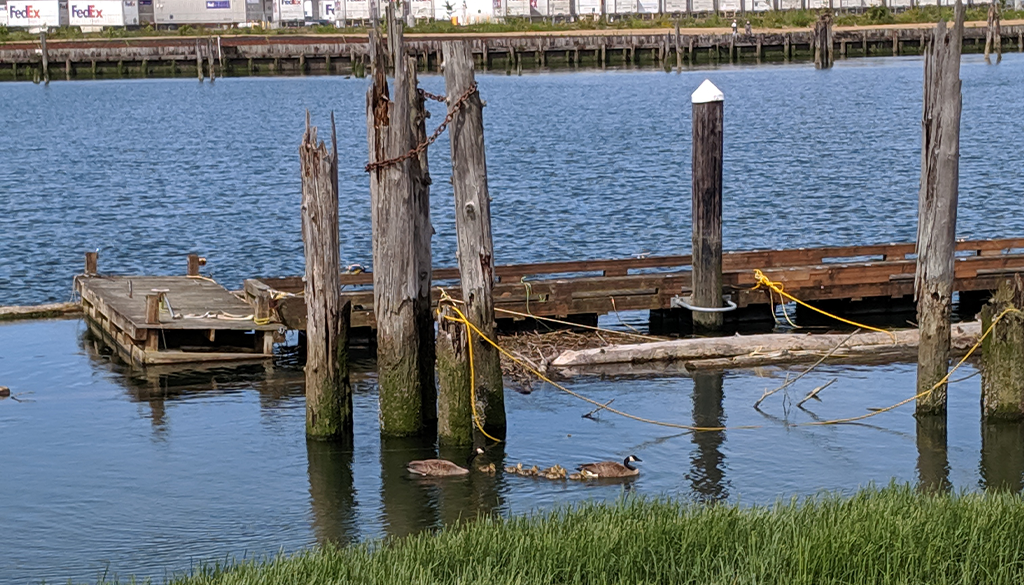 PNW Travel - Everett WA waterfront