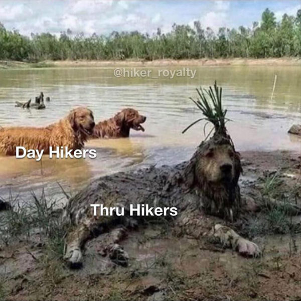 day hikers vs through hikers funny meme with dogs