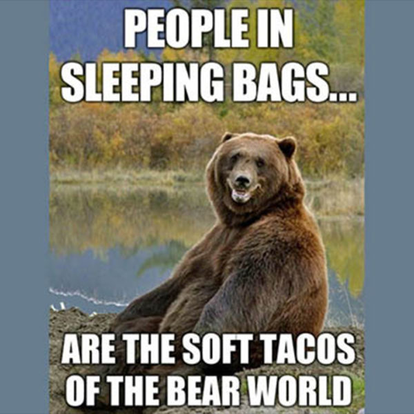 people in sleeping bags are burritos for bears camping meme