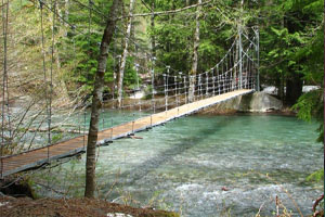 Grove of the Patriarchs Trail suspension bridge