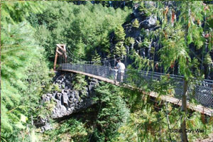Lava Canyon Trail suspension bridge