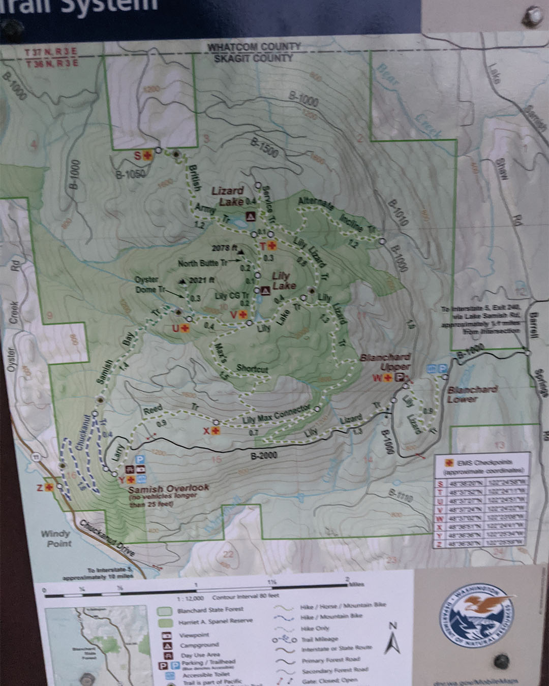 My Hike of the Oyster Dome Trail Bellingham, WA