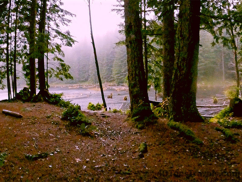 Lizard Lake Campground