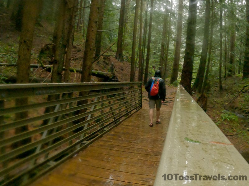 Oyster Dome Bridge