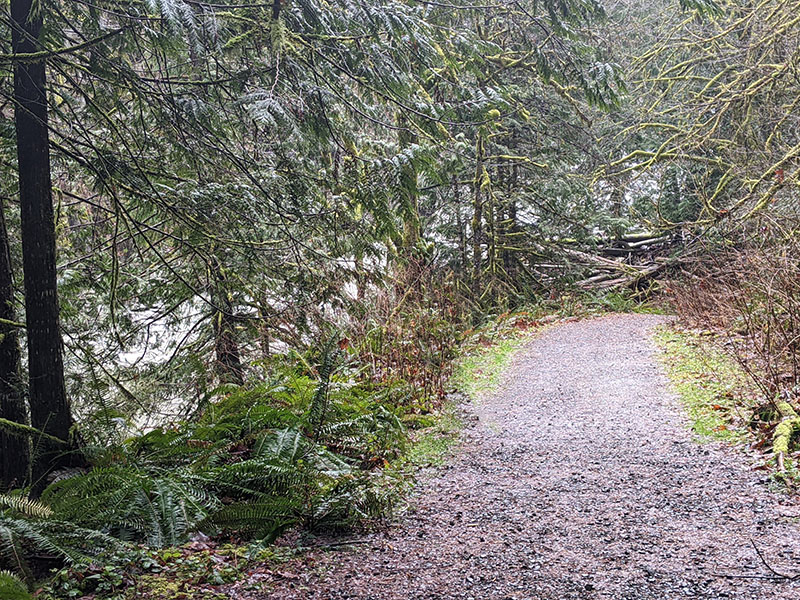 The Granite Falls Fish Ladder Trail