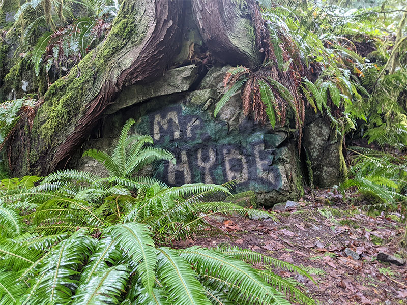 Graffiti at the Granite Falls Fish Ladder