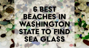 sea glass beaches washington state