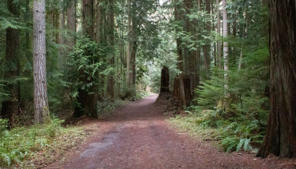 hiking and camping holidays