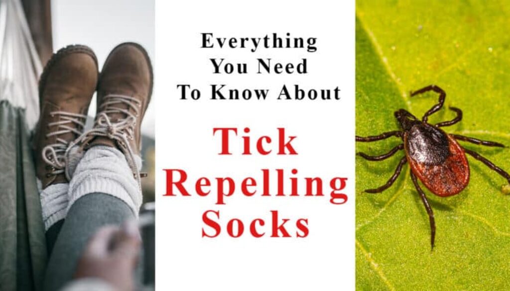 Everything you need to know about tick repelling socks