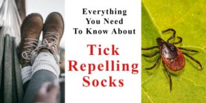 Everything you need to know about tick repelling socks