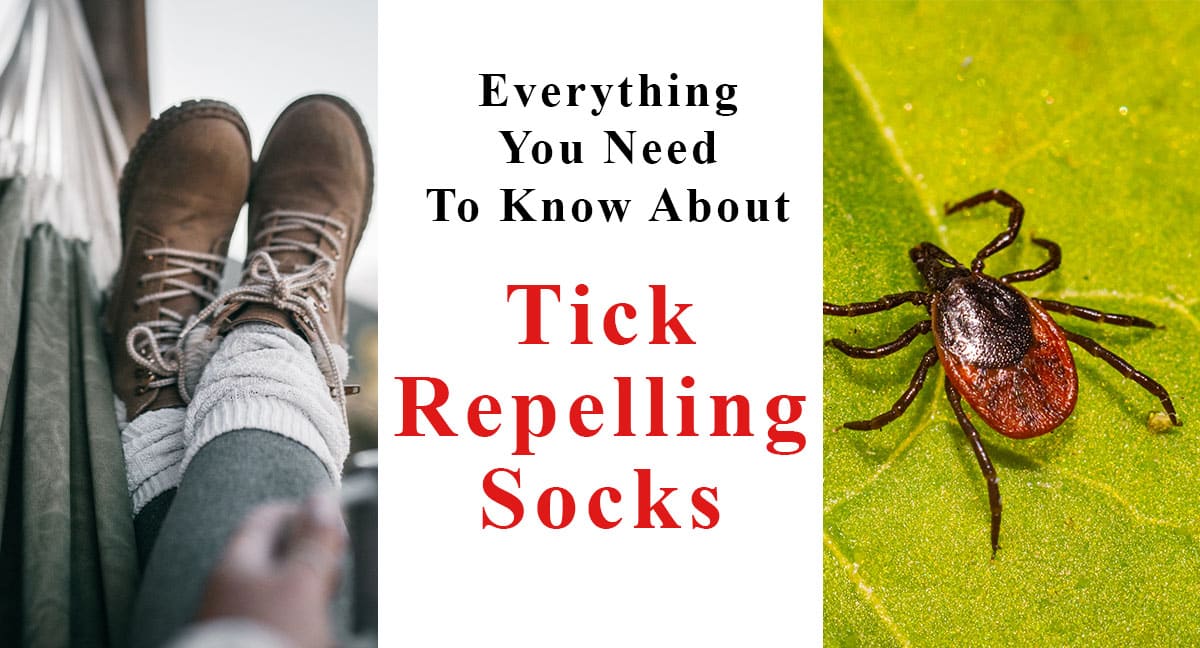 Everything you need to know about tick repelling socks