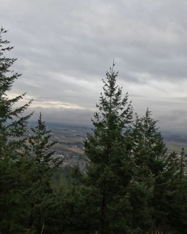 View from the south view point at Little Mountain Park in Mount Vernon