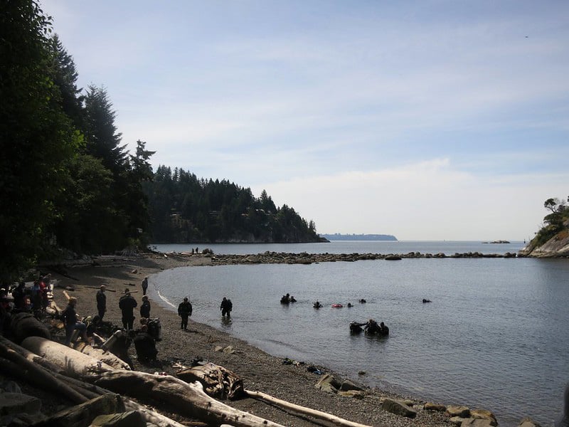 Bowman Beach Washington