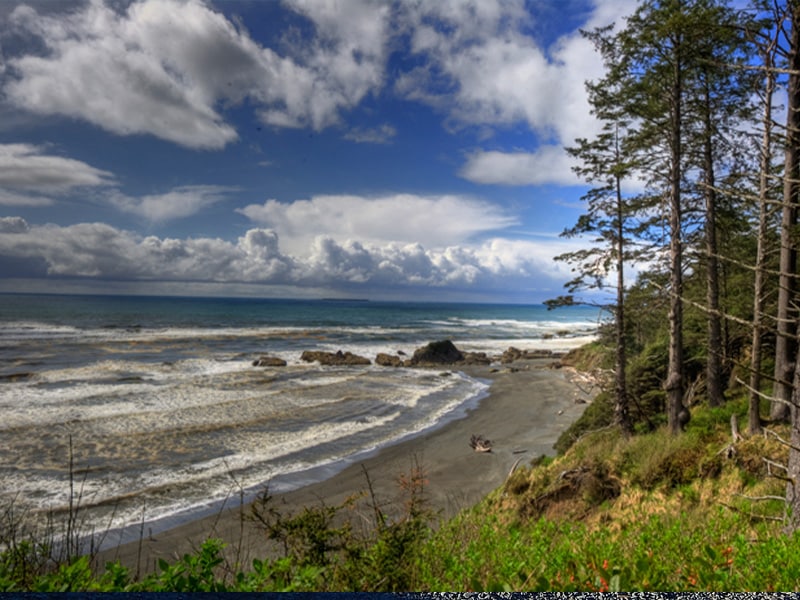 Kalaloch Beach Washington State