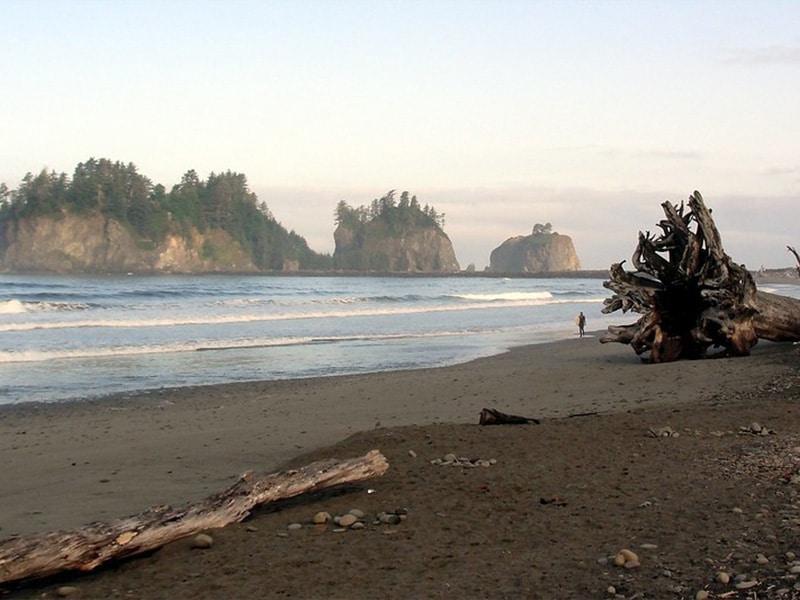 La Push Beach Washington