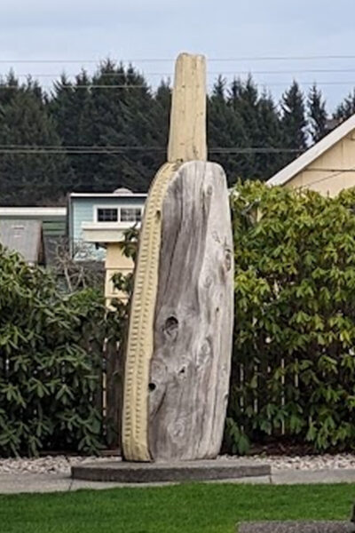 giant razor clam long beach washington