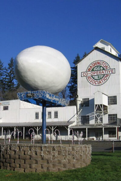 worlds largest egg winlock washington