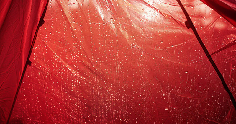 Condensation on the inside of a tent in the morning