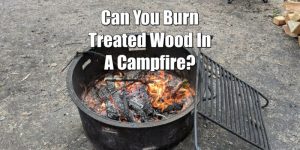 can you burn treated wood in a bonfire.