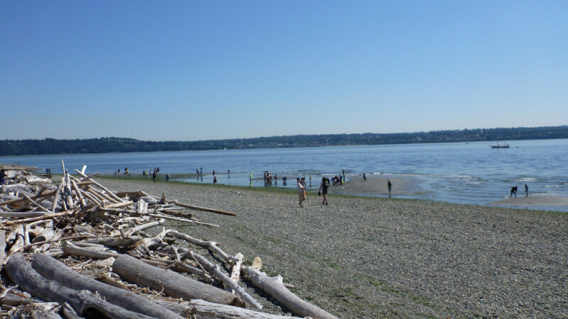 Maury Island Beach
