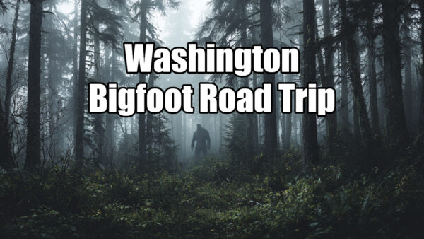 Misty Washington forest along a Sasquatch-themed camping road trip route